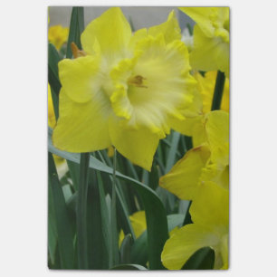 Notas Post-it® daffodil-22.JPG