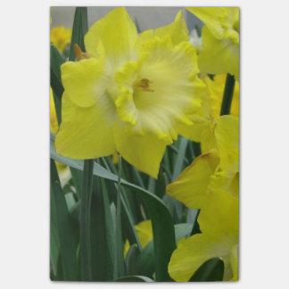 Notas Post-it® daffodil-22.JPG