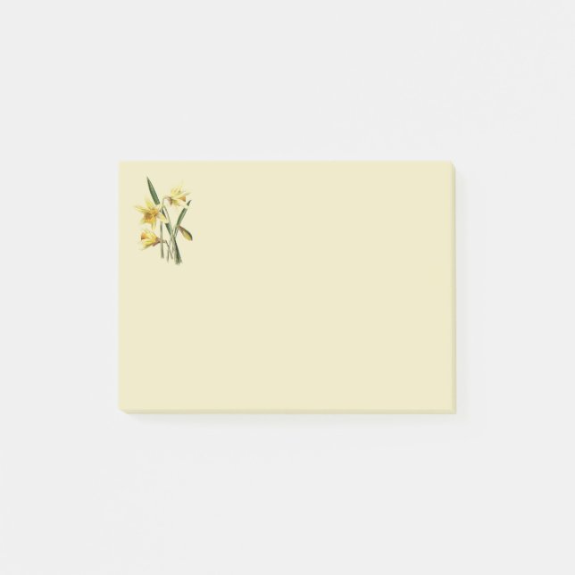 Notas Post-it® Daffodil publica lo que anota (Anverso)