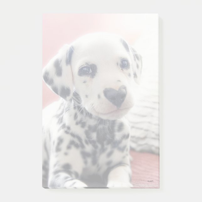 Notas Post-it® Dalmatian Heart Nose (Anverso)
