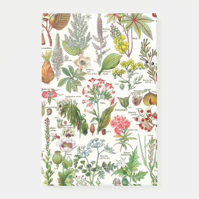 Notas Post-it® Dangereus botánico de las plantas de los (Anverso)