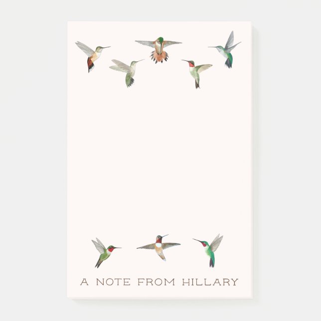 Notas Post-it de Hummingbirds de Estados Unidos (Anverso)