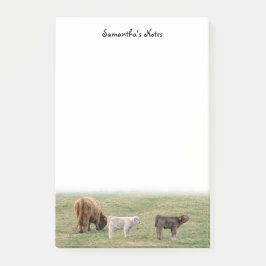 Notas Post-it de la vaca de Highland