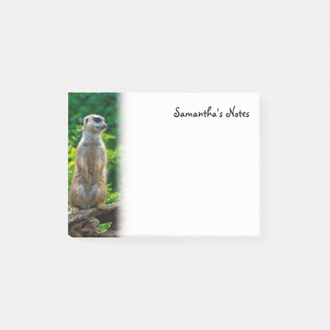 Notas Post-It de Meerkat (Anverso)