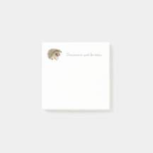 Notas Post-It de Objetivos diarios - Hedgehog