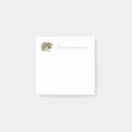 Notas Post-It de Objetivos diarios - Hedgehog