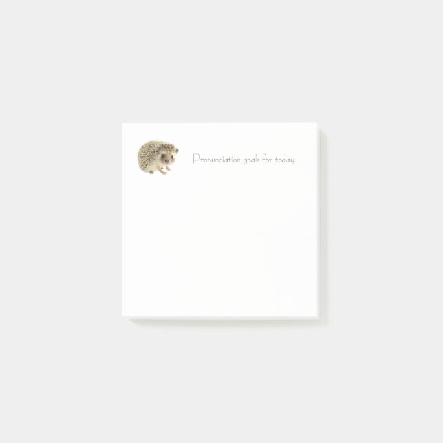 Notas Post-It de Objetivos diarios - Hedgehog (Anverso)