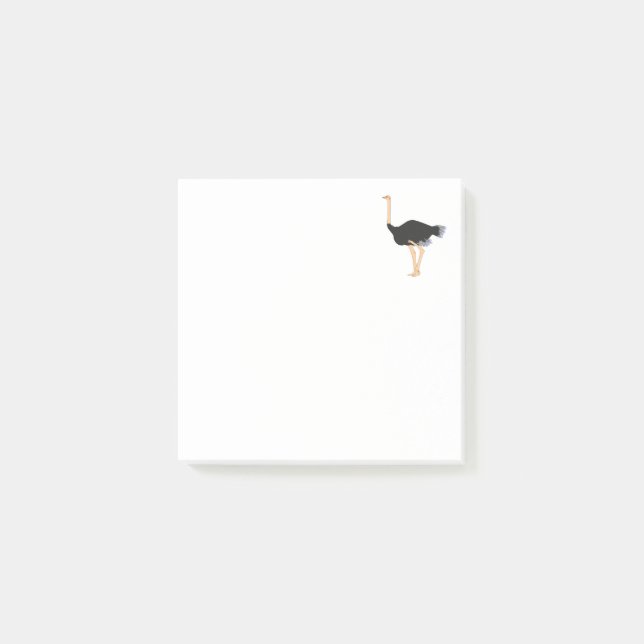 Notas Post-it de Ostrich (Anverso)