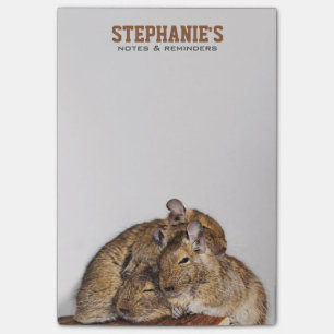 Notas Post-it® Degu feliz en una pila de Degu