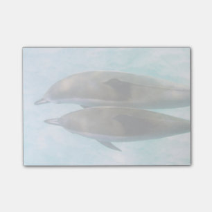 Notas Post-it® Delfines spinner Oahu Hawaii