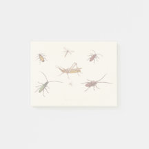 Diseño vintage con siete insectos diferentes