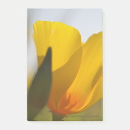 Notas Post-it® Disquete relleno de luz