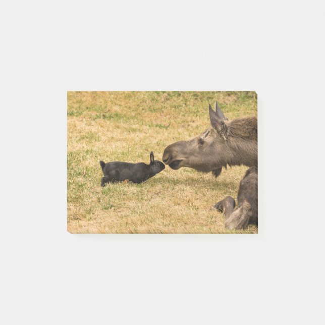 Notas Post-it® Diversidad (Anverso)