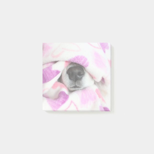 Notas Post-it® Dog Nose Post Lo Observa (Anverso)