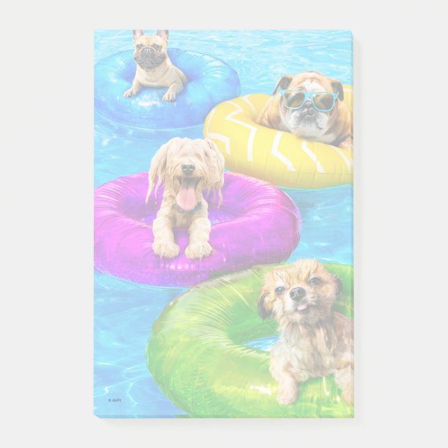 Notas Post-it® Dog Pool Party (Anverso)