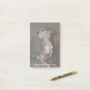 Notas Post-it® Dogo Gran Danés Merle