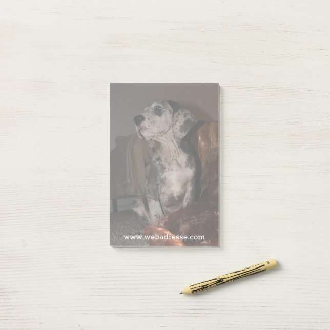 Notas Post-it® Dogo Gran Danés Merle (Escritorio)