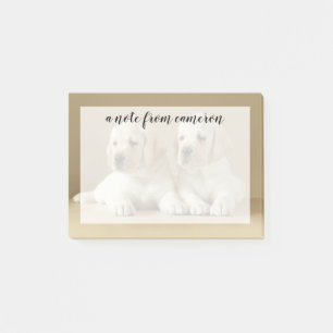 Notas Post-it® Dos Cachorros Labrador Dorados