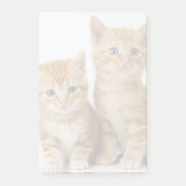Notas Post-it® Dos gatitos adorables (Anverso)