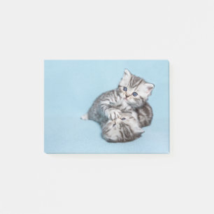 Notas Post-it® Dos gatitos de mesa negros de plata jugando juntos