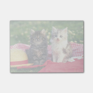 Notas Post-it® Dos Gatitos Sentados En Una Manta De Color Rojo