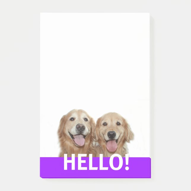 Notas Post-it® Dos perros sonrientes del Golden Retriever Hola (Anverso)