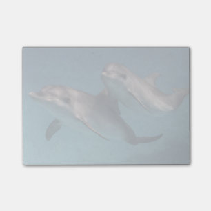 Notas Post-it® Dosis juguetona