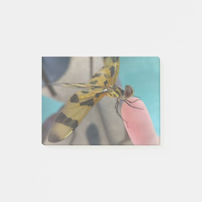 Notas Post-it® Dragon Fly (Anverso)