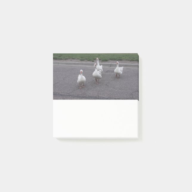 Notas Post-it® Duck Post it Notes (Anverso)