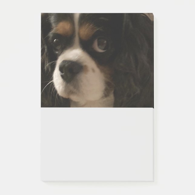 Notas Post-it® Dulce Mascota Dog Groomer Veterinaria Cute Busines (Anverso)