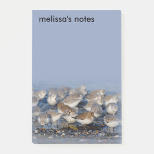 Notas Post-it® Dunlins Sanderlings Sandpipers at Beach