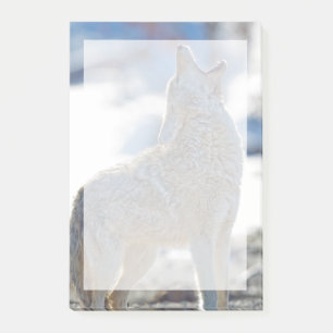 Notas Post-it® EE. UU., Wyoming, Parque Nacional Yellowstone, Coy