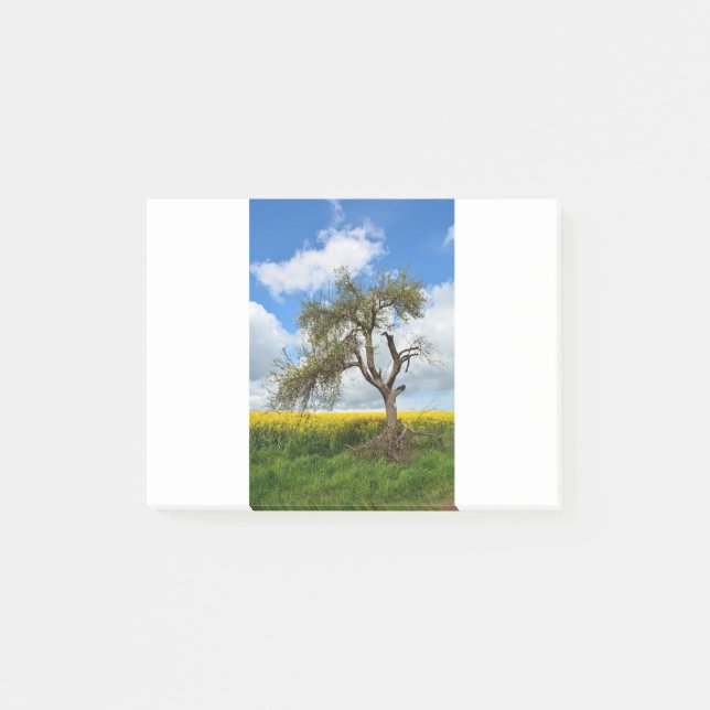 Notas Post-it® El árbol viejo (Anverso)