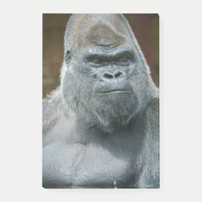 Notas Post-it® El bonito Silverback (Anverso)