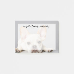 Notas Post-it® El Bulldog francés se desmorona