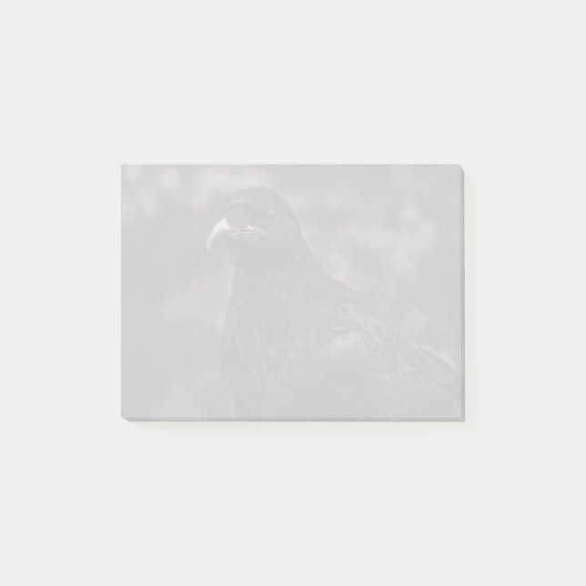 Notas Post-it® El Buscador (Anverso)