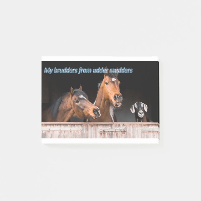 Notas Post-it® El caballo divertido de Memes del caballo (Anverso)