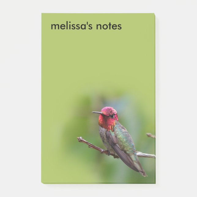 Notas Post-it® El colibrí de Anna en un árbol de frutas (Anverso)