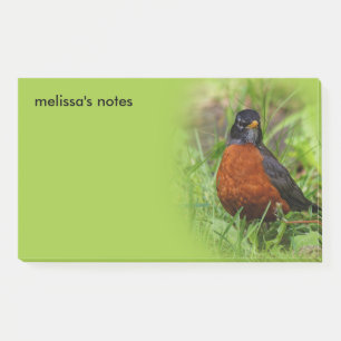 Notas Post-it® El curioso Robin Songbird en la hierba
