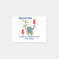 El EEL Eléctrico Puede Generar 600 Voltios