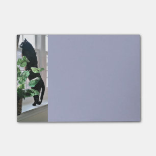 Notas Post-it® El gato en Poste-it® de la ventana observa 4 x 3