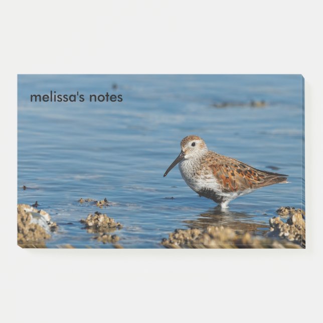 Notas Post-it® El hermoso Dunlin Shorebird Sandpiper se va solo (Anverso)