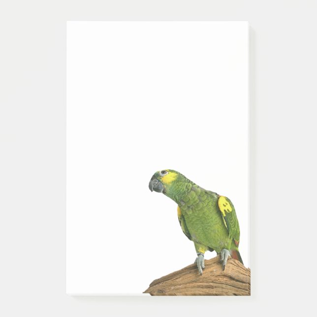 Notas Post-it® El Poste-it® del Amazonas observa 4 x 6 (Anverso)