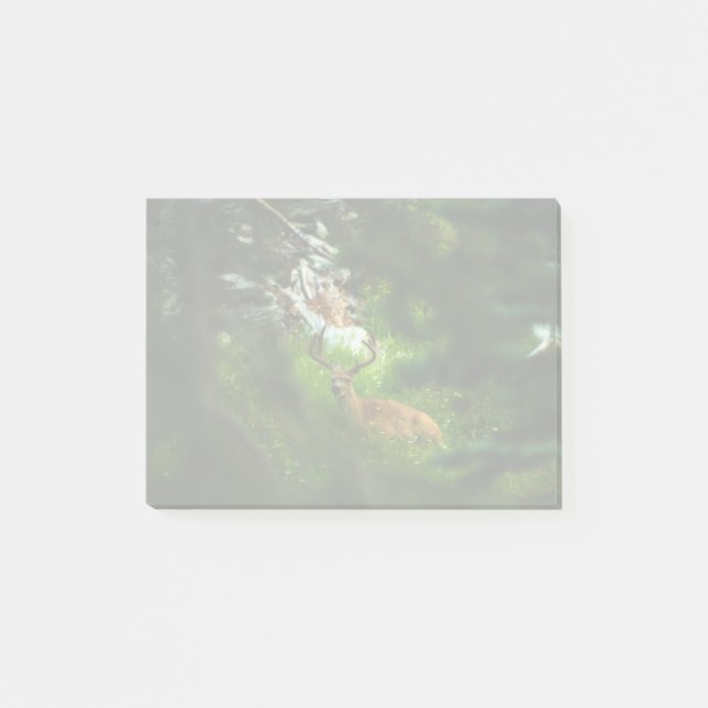 Notas Post-it® El príncipe forestal (Anverso)