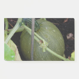 Notas Post-it® El squash de los jardineros