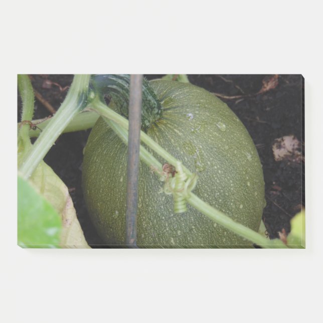 Notas Post-it® El squash de los jardineros (Anverso)