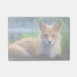 Notas Post-it® El zorro rojo tumbado en la imagen de la fauna de 