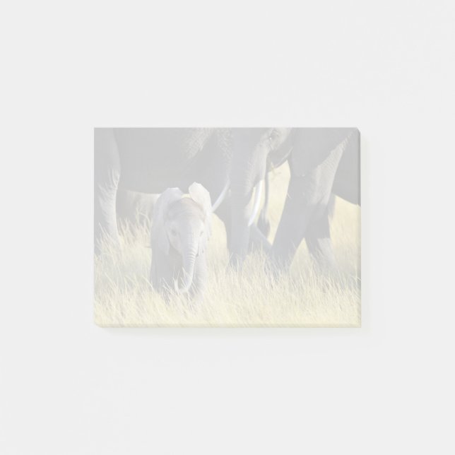 Notas Post-it® Elefante del bebé (Anverso)
