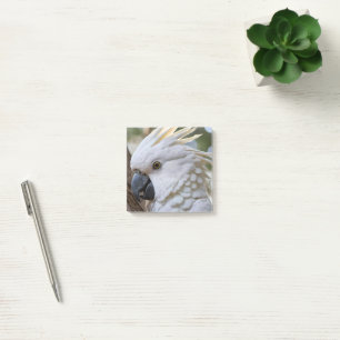 Notas Post-it® Elegancia en Blanco: El Majestuoso Cacatúa Austral