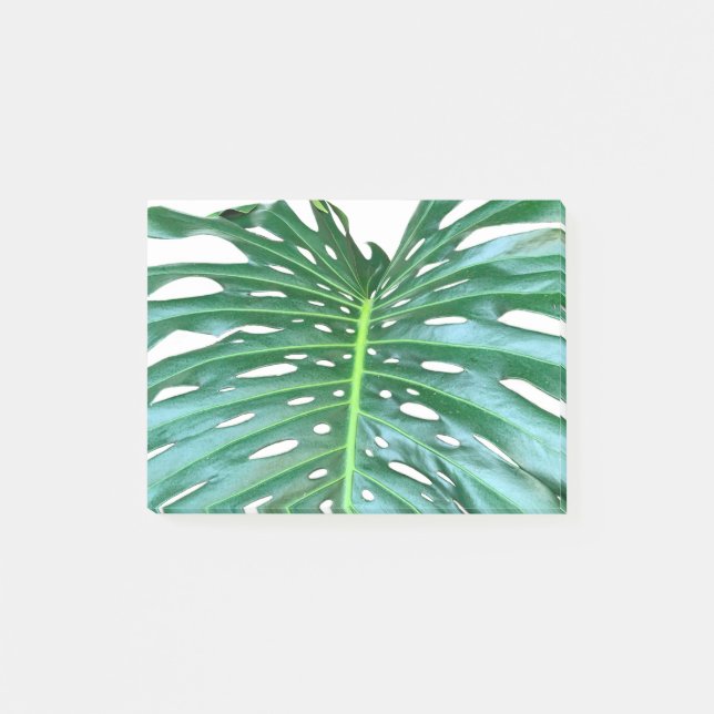 Notas Post-it® Elegante hoja de hoja de palma selva tropical selv (Anverso)